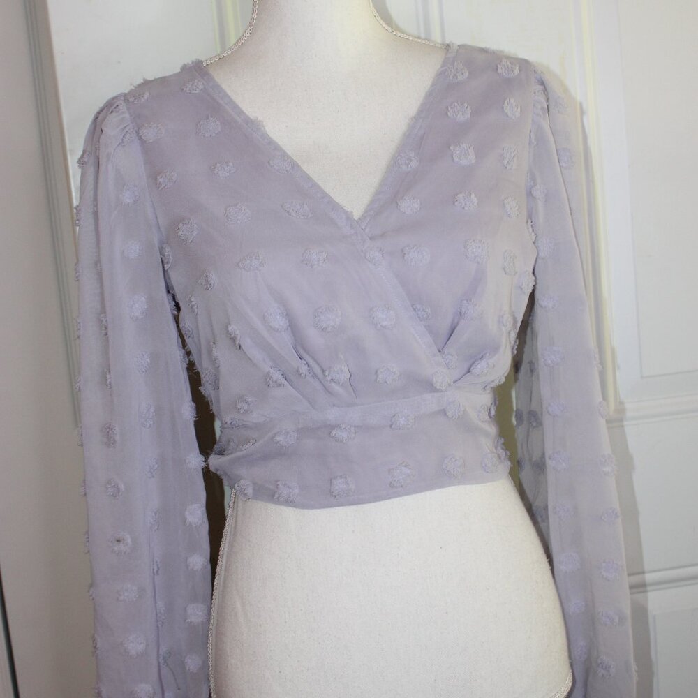 Alter'd State Top Women's Size Medium Blue Blouse Sheer Sleeves - Picture 2 of 4